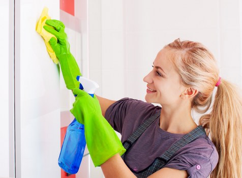 Carpet cleaning for pet stain odour removal in Raynes Park