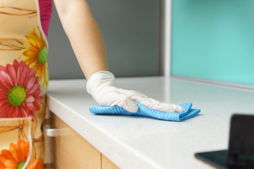 Professional pet stain odour removal equipment in Raynes Park