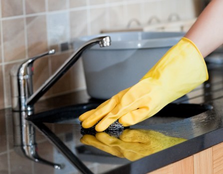Deep extraction cleaning for stubborn pet stains and smells