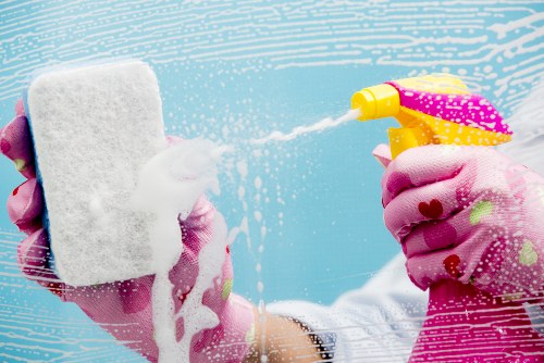 Pet-friendly upholstery cleaning on a living room couch