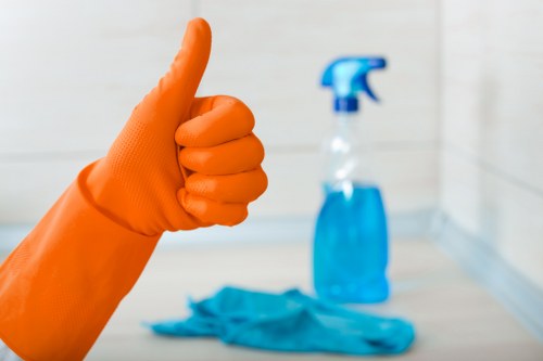 Local upholstery cleaning service refreshing a family sofa