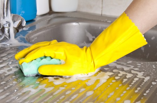 Upholstery treatment for pet odour removal in a Raynes Park home